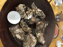 蚝-蚝专家(北滘店)