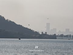 -东湖落雁景区