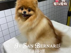 -宠Ta宠物生活馆(济宁任城区)