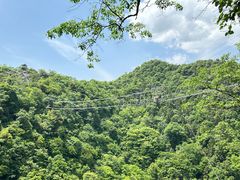 -千岛湖石林