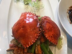 -沪碟·精菜坊(闵行店)