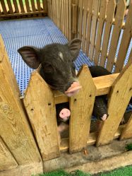 点击看大图 -萌宠亲子动物乐园(槐房万达店)