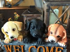 -盐官日光域房车营地·有盐餐厅