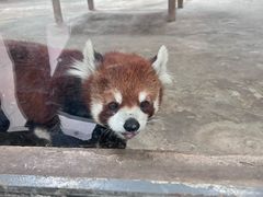 -哈尔滨北方森林动物园