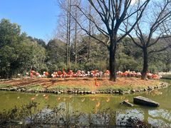 -上海野生动物园