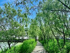 -野鸭湖国家湿地公园