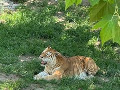 -西霞口神雕山野生动物世界