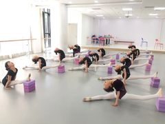 -西安小天鹅艺术团(金花路校区)