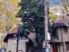 -星巴克臻选(思南公馆店)