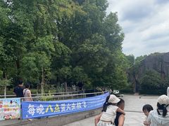 -合肥野生动物园