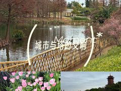 -厦门园林博览苑