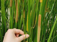 -中关村生命科学园