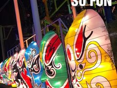 -锦江乐园舞狸花花游园会(夜场专享)