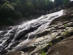 -广州白江湖森林公园