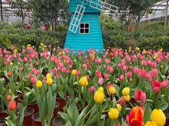 -南宫五洲植物乐园