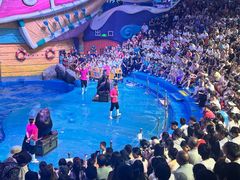 -烟台海昌鲸鲨海洋公园