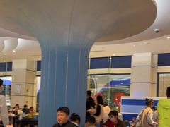 -帝企鹅自助餐厅•儿童岛•真企鹅(长隆企鹅酒店)