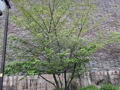 -相门城墙文化休闲景区