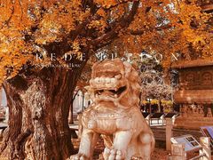 -北京石刻艺术博物馆(五塔寺)