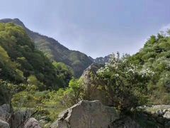 -王顺山国家森林公园