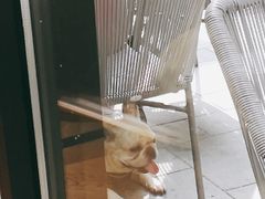 -Wagas沃歌斯(大学路店)