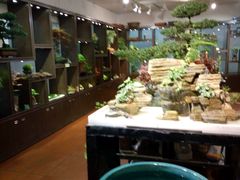 -双季花艺园艺市场(浦东店)