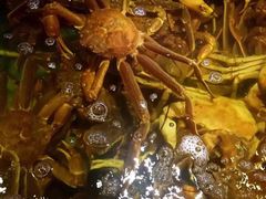 -蟹之国·精品蟹料理(极地店)