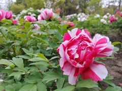 -江南大学(蠡湖校区)