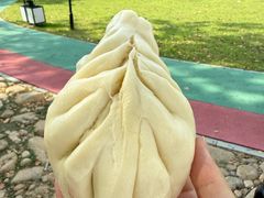 -袁大头包子(光华路店)