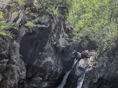 -云岫谷游猎自然风景区