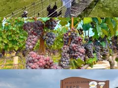 -泰生小镇旅游景区