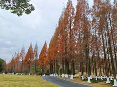 -东钱湖旅游度假区