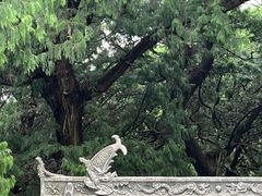 -七曲山风景区