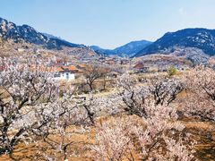 -崂山九水游览区