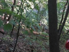 -观音阁水库风景区