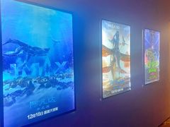 -星河寰宇IMAX影城(星河WORLD·COCO Park店)