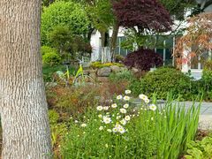 -昆山城市生态森林公园