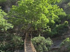 -黑龙潭风景区