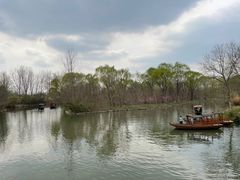 -溱湖国家湿地公园