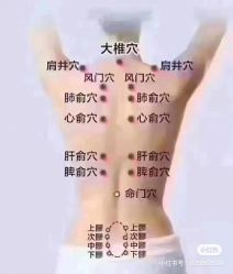 -香薇妮丝·定制减肥·身材管理