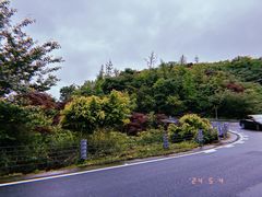 -溪口商量岗景区
