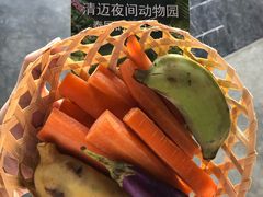 -清迈夜间动物园