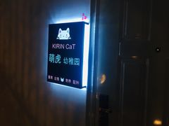 -70cat德文卷毛猫·缅因猫纯种猫舍