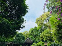 -成都杜甫草堂博物馆