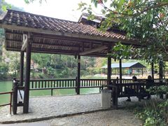 景点-紫云谷景区