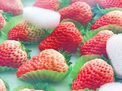 -茶百道(南浦里店)