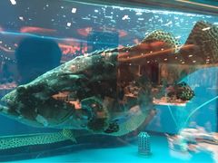 iphone_upload_pic-東海海鲜酒家(中信广场店)