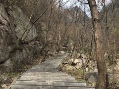 -王顺山国家森林公园