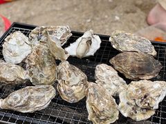 -金沙滩度假村
