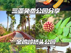 -金鸡岭桥头公园